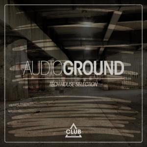 Various Artists的專輯Audioground - Tech House Selection