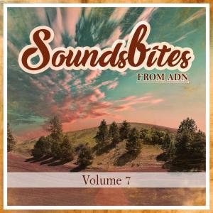 Various的專輯Soundsbites from ADN, Vol. 7