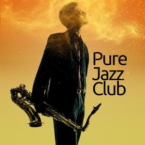 Jazz Piano Club的專輯Pure Jazz Club