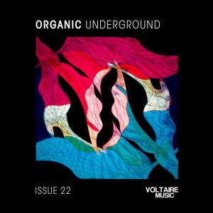 Album Organic Underground Issue 22 oleh Various Artists