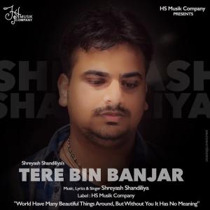 Album Tere Bin Banjar oleh Shreyash Shandiliya