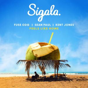 ดาวน์โหลดและฟังเพลง Feels Like Home พร้อมเนื้อเพลงจาก Sigala