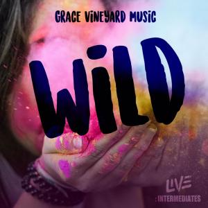ดาวน์โหลดและฟังเพลง WILD พร้อมเนื้อเพลงจาก Grace Vineyard Music