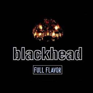 ดาวน์โหลดและฟังเพลง ขอร้อง พร้อมเนื้อเพลงจาก BLACKHEAD