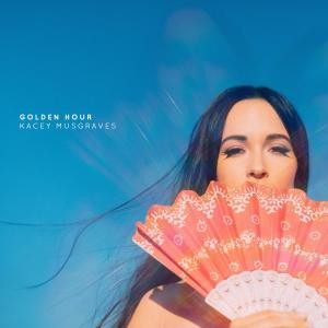 ดาวน์โหลดและฟังเพลง High Horse (Kacey Musgraves Remix) พร้อมเนื้อเพลงจาก Thumpasaurus