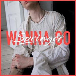 ดาวน์โหลดและฟังเพลง Wanna Go พร้อมเนื้อเพลงจาก Springer