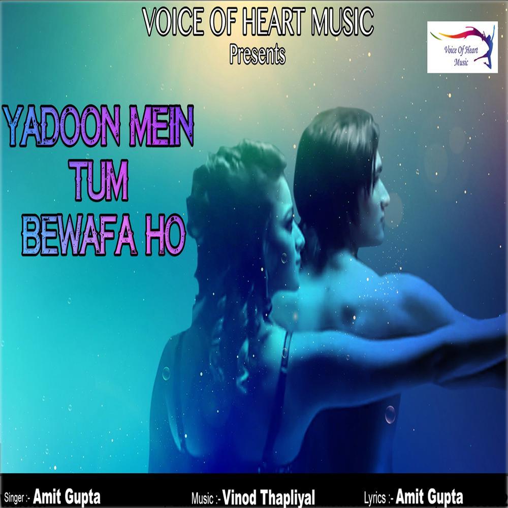 Yadoon Mein Tum Bewafa Ho
