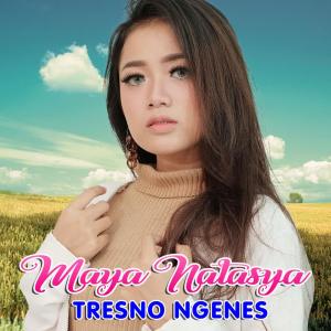 收聽Maya Natasya的Tresno Ngenes歌詞歌曲