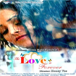 Various Artists的專輯The Love is Forever