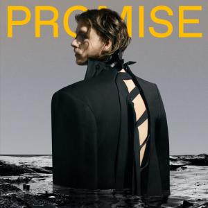 ดาวน์โหลดและฟังเพลง Promise พร้อมเนื้อเพลงจาก Warhola