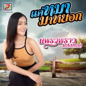 Listen to แค่หมามาหยอก song with lyrics from แพรวพราว แสงทอง