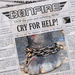 收听Bonfire的Cry 4 Help歌词歌曲
