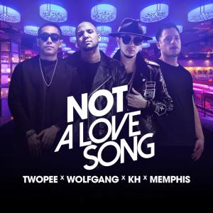 ดาวน์โหลดและฟังเพลง Not a Love Song พร้อมเนื้อเพลงจาก Twopee Southside