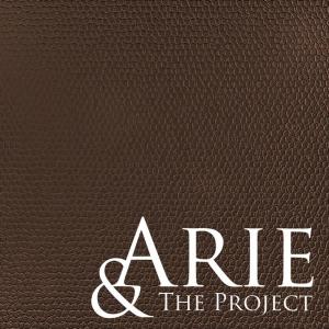 อัลบัม Arie & The Project (Single) ศิลปิน Arie & The Project