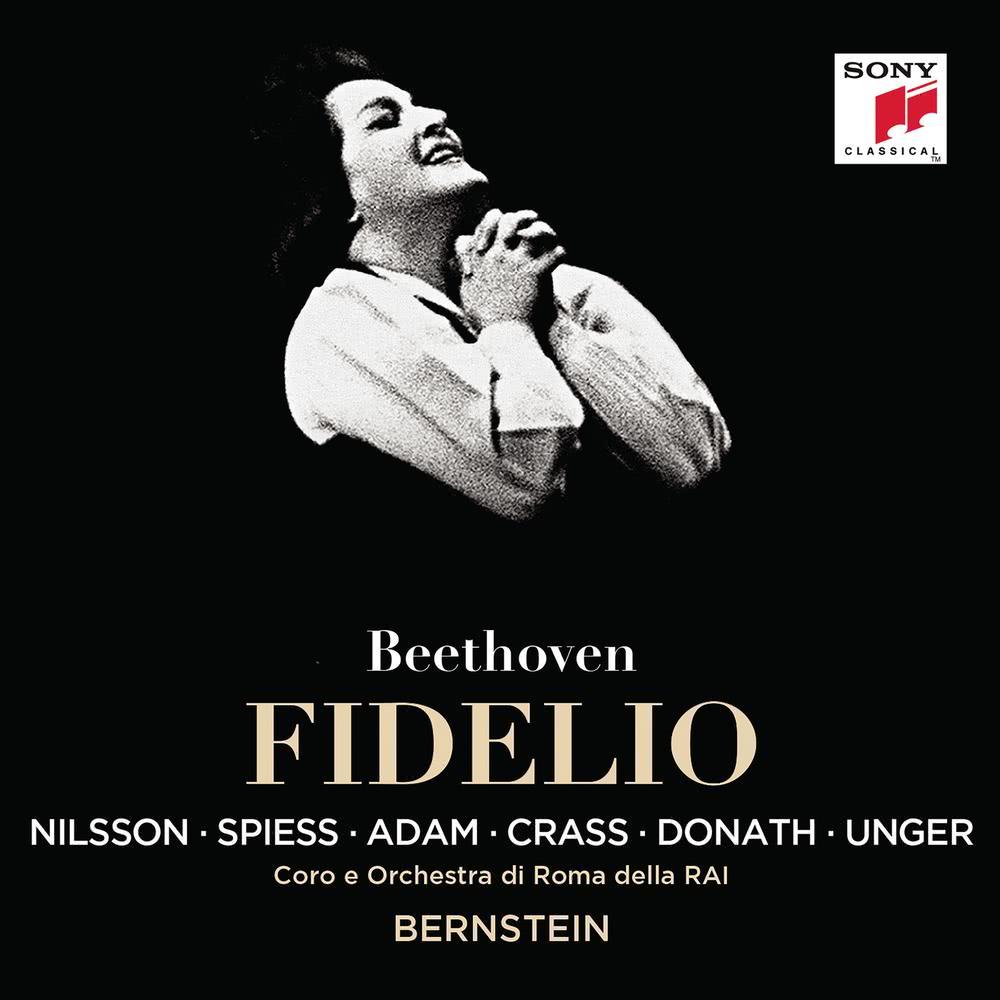 Fidelio, Op. 72: Act I: O wär' ich schon mit dir vereint