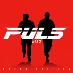 收聽PULS的Wir werden uns Wiedersehen (Instrumental)歌詞歌曲