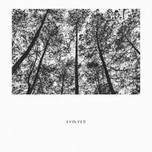 收听Evolved的Dosa歌词歌曲