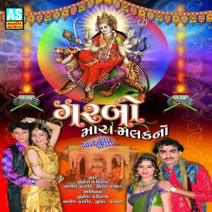 ดาวน์โหลดและฟังเพลง Ha Re Meldi Mayalu Mamtali พร้อมเนื้อเพลงจาก Hiral Raval