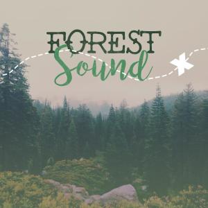ดาวน์โหลดและฟังเพลง Start of the River พร้อมเนื้อเพลงจาก Outside Broadcast Recordings