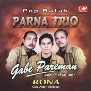 Dengarkan lagu Bidadari nyanyian Parna Trio dengan lirik