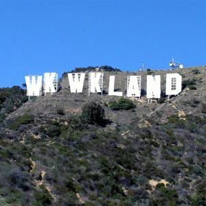 Listen to WKWK Land song with lyrics from Weird Genius