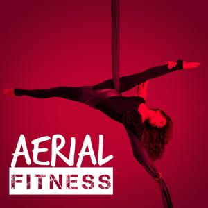 The Cardio Workout Crew的專輯Aerial Fitness