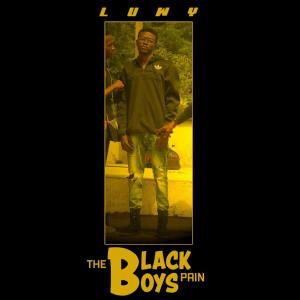 Listen to The Black Boy's Pain song with lyrics from Luwy