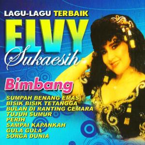 Album Lagu-Lagu Terbaik Elvy Sukaesih oleh Elvy Sukaesih