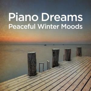 อัลบัม Piano Dreams - Peaceful Winter Moods ศิลปิน Martin Doepke