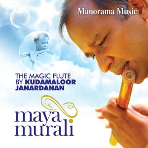 收聽Kudamaloor Janardanan的To My Soul Mate - Sindhu Bhairavi - Ado歌詞歌曲