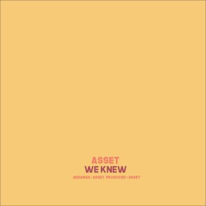 อัลบัม We Knew ศิลปิน Asset