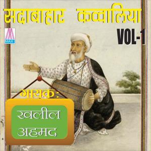 Khalil Ahmad的專輯Sadabahar Qawwalies, Vol. 1