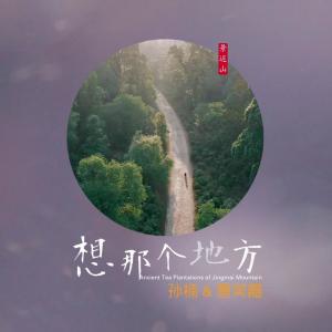 收聽孫楠的想那個地方歌詞歌曲