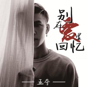 Listen to 别在爱里回忆 song with lyrics from 王夺