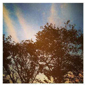 Listen to ครั้งหนึ่ง (Winter Mix) song with lyrics from Bhode Tanit