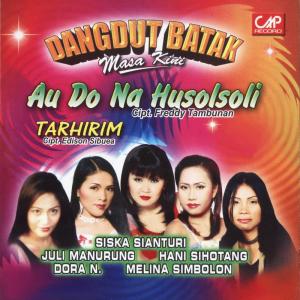 Various Artists的專輯Dangdut Batak Masa Kini
