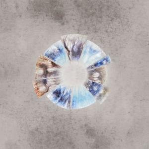 Dengarkan Clarity (Stripped Down Version) lagu dari Ripe & Ruin dengan lirik