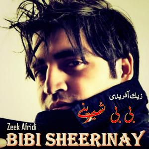 Listen to Naray Baran song with lyrics from Zeek Afridi