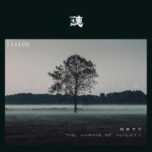Dengarkan lagu Listen nyanyian 音阙诗听 dengan lirik