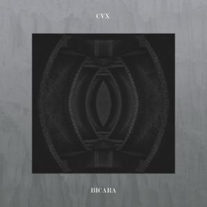 ดาวน์โหลดและฟังเพลง Bicara พร้อมเนื้อเพลงจาก CVX