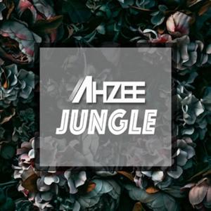 Listen to Jungle song with lyrics from Ahzee