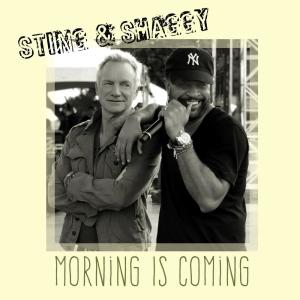 收聽Sting的Morning Is Coming歌詞歌曲