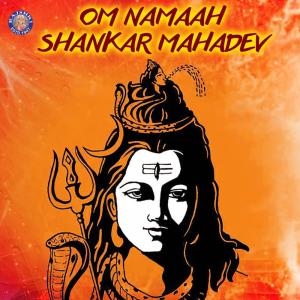 ดาวน์โหลดและฟังเพลง Lingashtakam พร้อมเนื้อเพลงจาก Rajalakshmee Sanjay