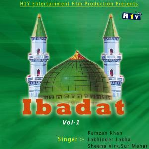 Listen to Mitti Di Dheri song with lyrics from Various Artists