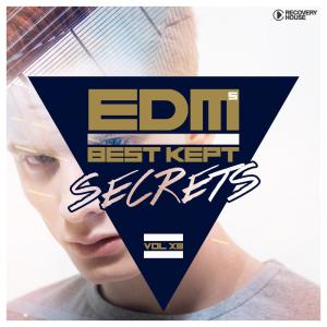 EDM's Best Kept Secrets, Vol. 13 dari Various