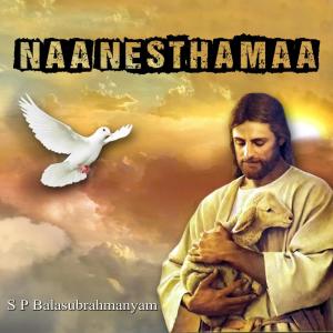 Listen to Sramalu Kaavivi song with lyrics from M M Srilekha