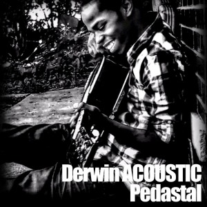 Album Pedastal from Derwin ACOUSTIC