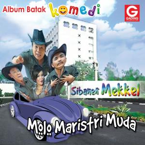 Listen to Mamora Songon Gayus song with lyrics from Tivi Tambunan
