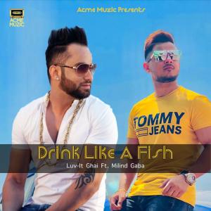 Listen to Drink Like a Fish song with lyrics from Luv-It Ghai