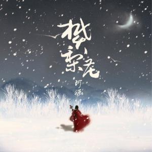 Listen to 樊梨花 song with lyrics from 阿涵